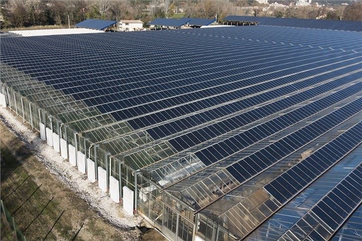 Photovoltaic Agriculture Mounting Structure Solar Farm Mounting System