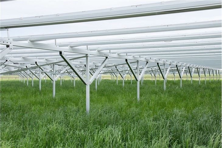 Photovoltaic Agriculture Mounting Structure Solar Farm Mounting System