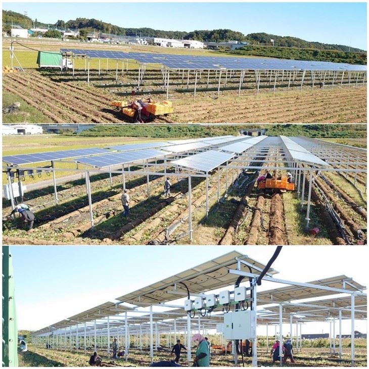 Agricultural - Complementary Photovoltaic Mounting Structures